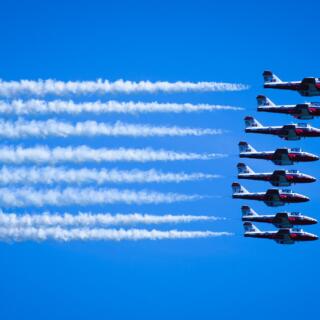 Snowbirds