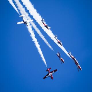 Snowbirds