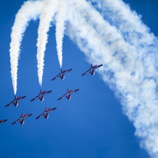 Snowbirds