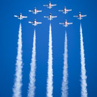 Snowbirds