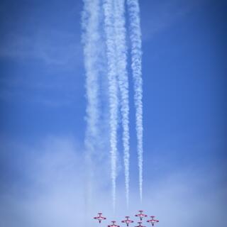 Snowbirds