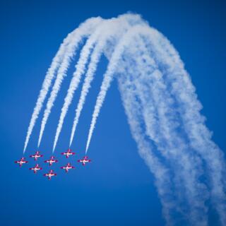 Snowbirds